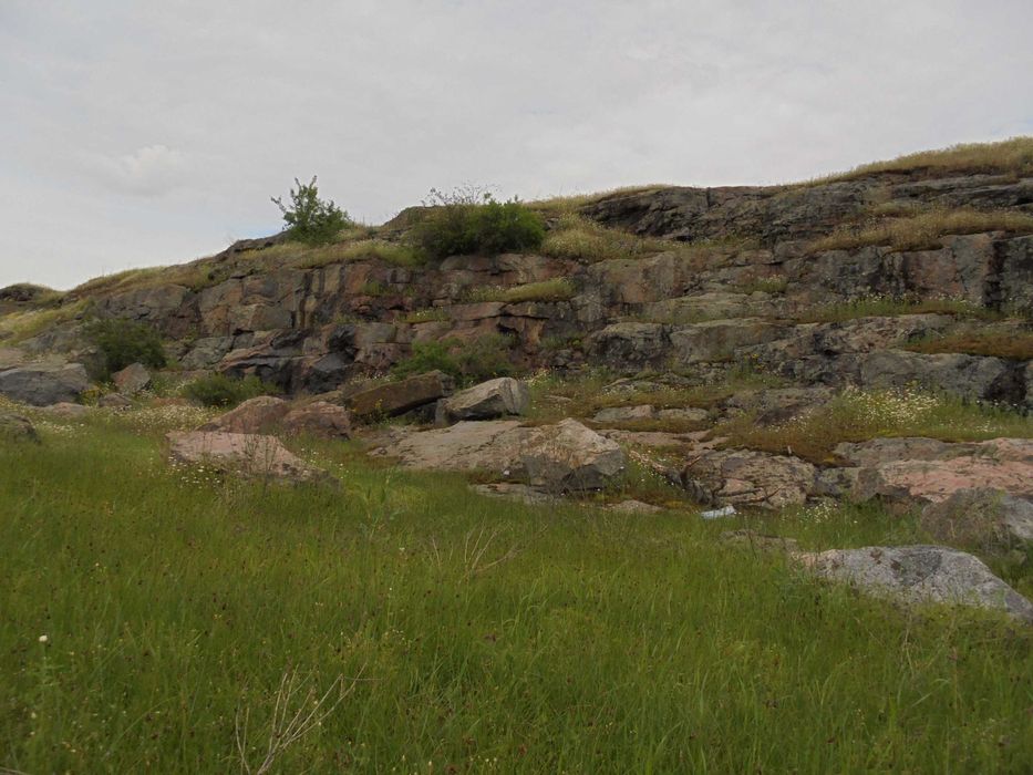 Предоставлю жильё бесплатно.