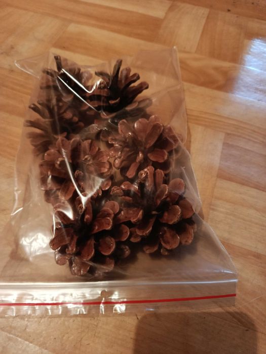 Ozdoby choinkowe szyszki lakierowane