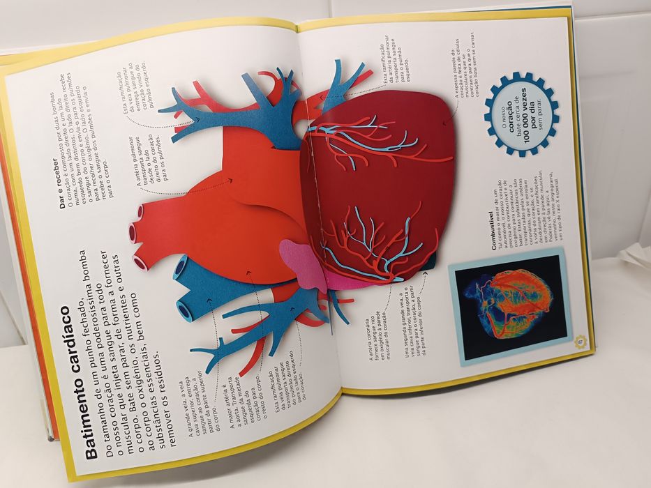 A Máquina do Corpo Humano. Livro educativo.