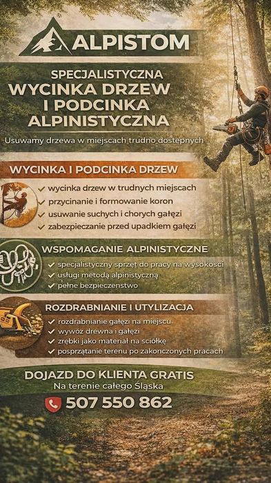 ALPINISTYCZNA Wycinka,Podcinka Drzew trudnych-malowanie dachów, cały Śląsk