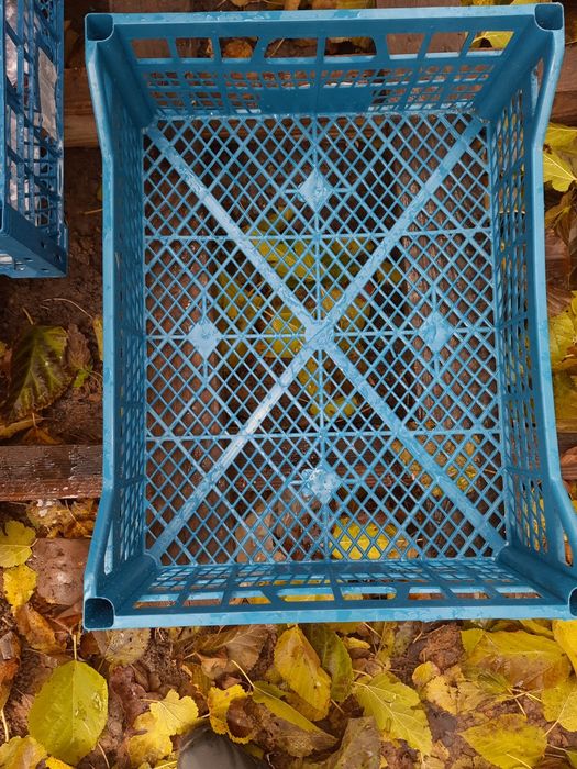 Ящики бананові та пластикові