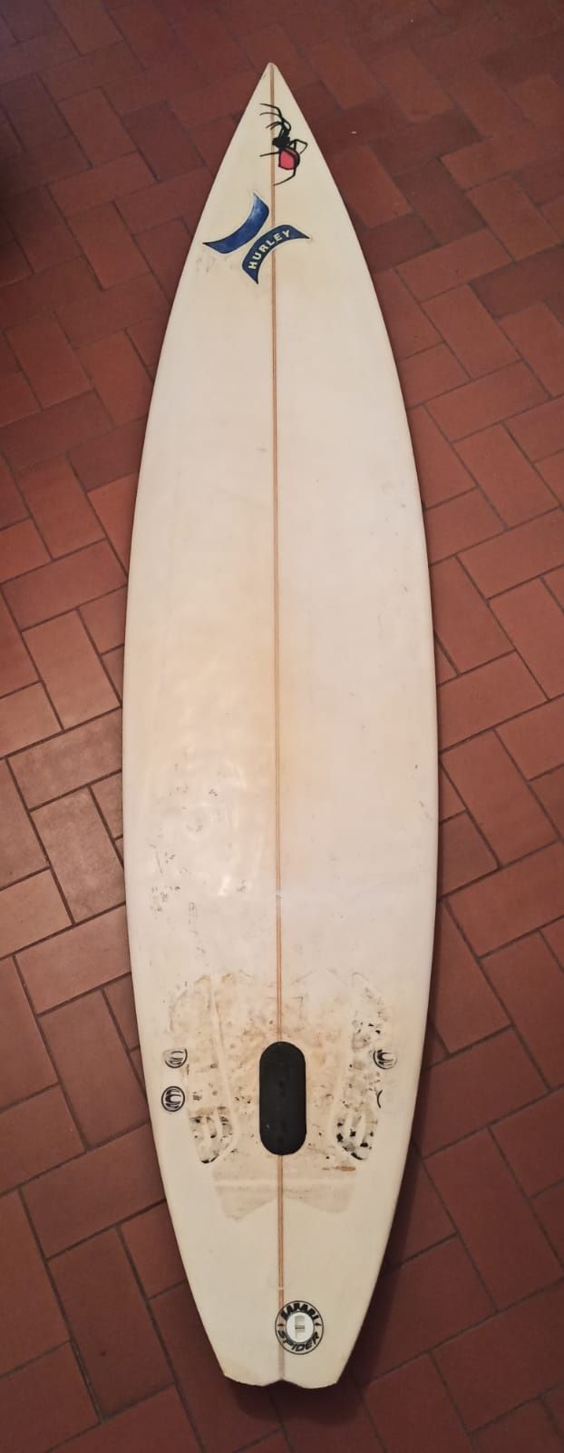 Murphy surfboards 2024