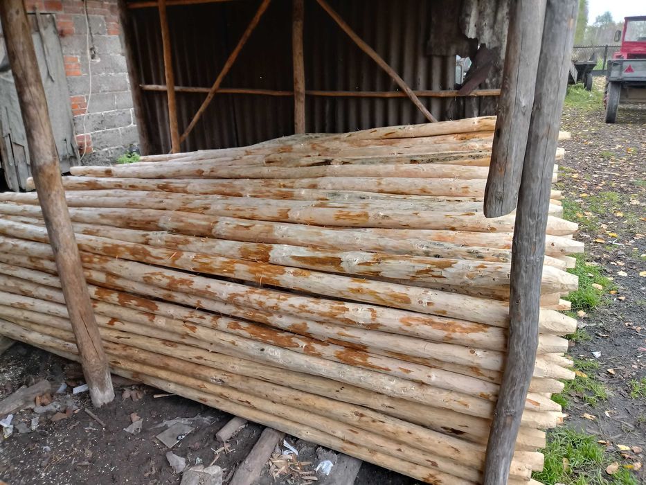 Paliki tyczki do drzewek,malin,pomidorów  i na ogrodzenie Skierniewice