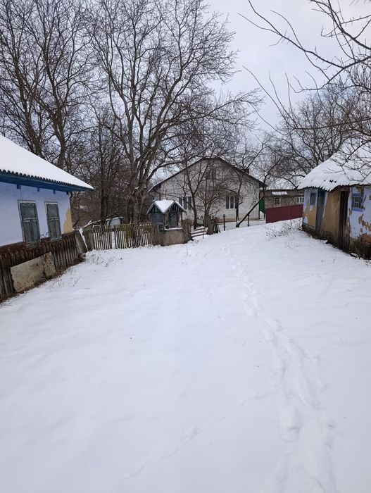 Продам будинок село Давидівці