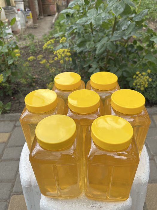 Мед з білої акації/соняшниковий/гречаний 2022 рік