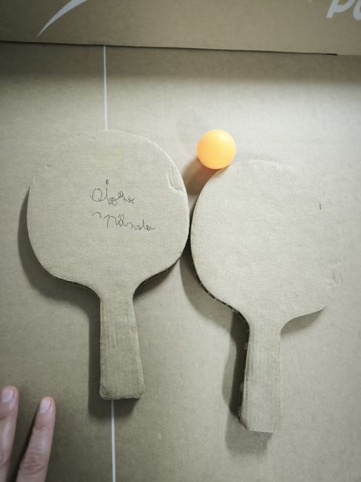 Mesa de ping pong de cartão Decathlon