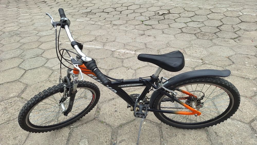 Rower 24 cale Biria