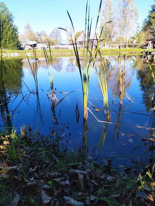 Komfortowy, klimatyzowany dom z placem zabaw,  jacuzzi  ,sauna.