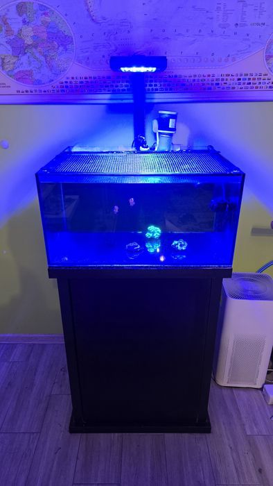 PROMO - Akwarium morskie - Octopanel 90 - Akwarium 90 l z panelem i pompą + osprzęt + lampa Reef Factory Flare Pro S +szafka