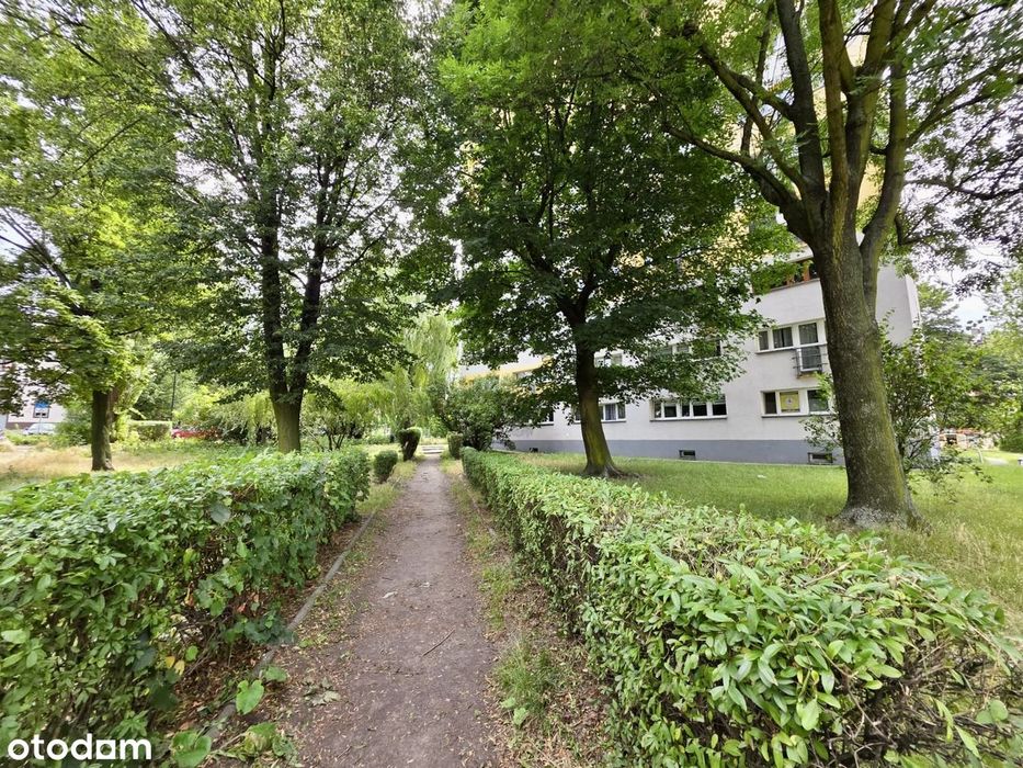 Zabrze - blok z windą. Uniwersytet. Właściciel. Centrum.