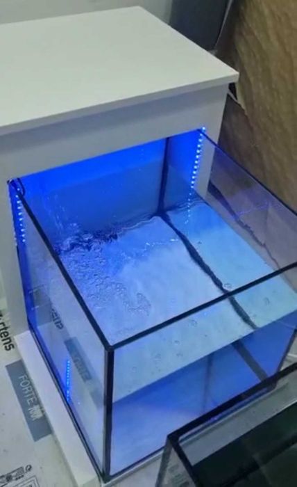 Aquário para tratamentos de pés/Ictioterapia