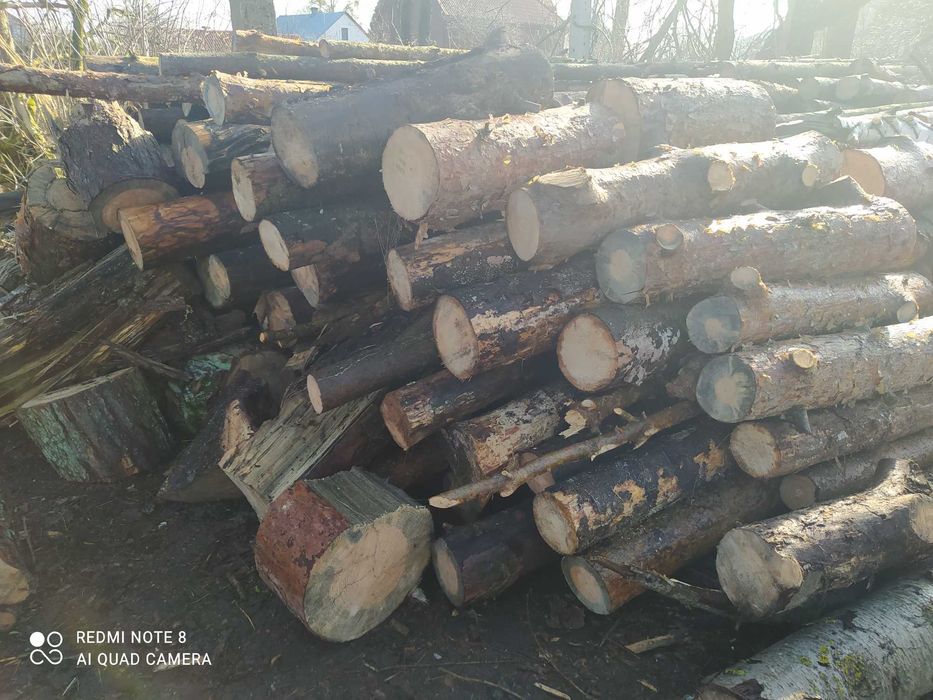 Sprzedam drewno opałowe Sosna.