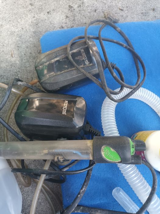 Aquário pequeno em bom estado