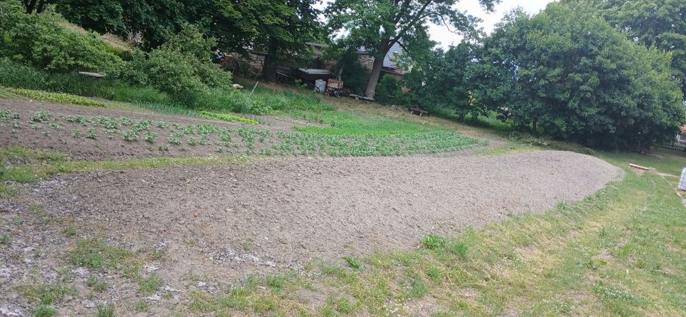 Sprzedam kiszonkę z kukurydzy