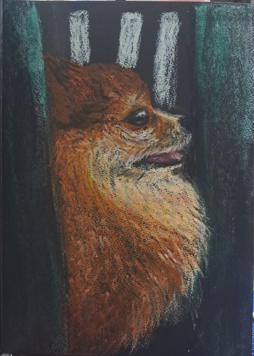 портрет ваших любимцев.