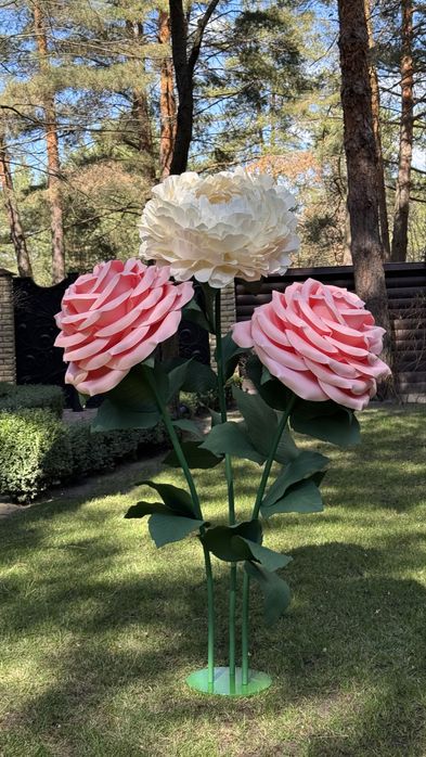 Ростові квіти для декору