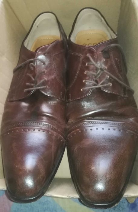 Brązowe Derby Ecco 45 Bytom Ryłko Tommy Hilfiger Diesel