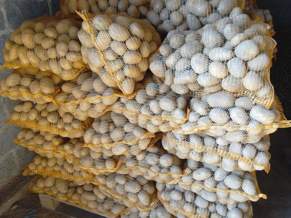 Sprzedam ziemniaki Soraya jadalne