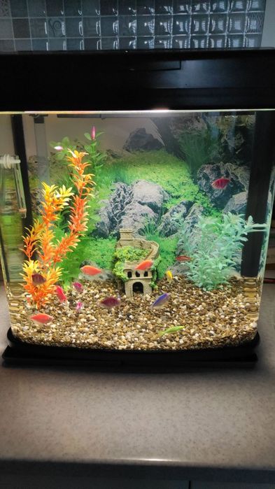 Акваріум для рибок 40л.