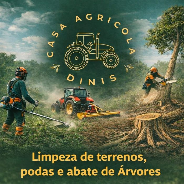 Serviço de limpeza mato e corte de árvores