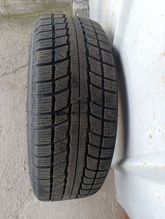 Шини зима  Triangle l 225/65 R17 Snow Lion TR777