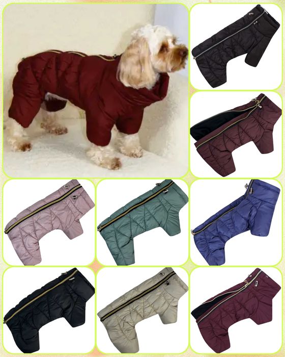 Качественная одежда для собак и котов