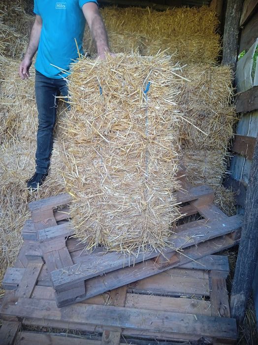 Продам пшеничні тюки