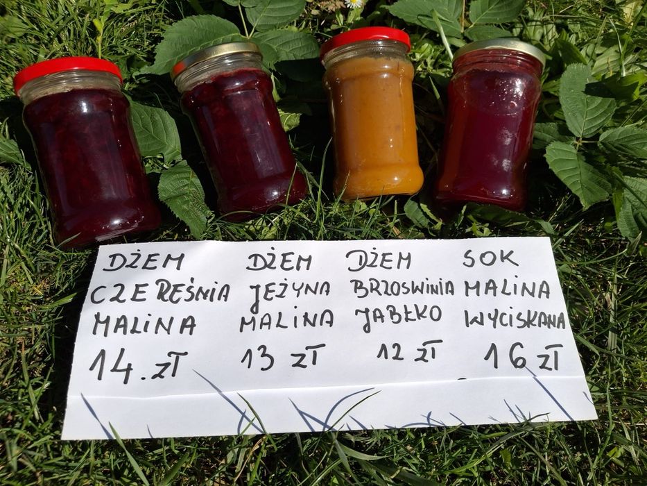 Sok malinowy WYCISKANY 100% domowy