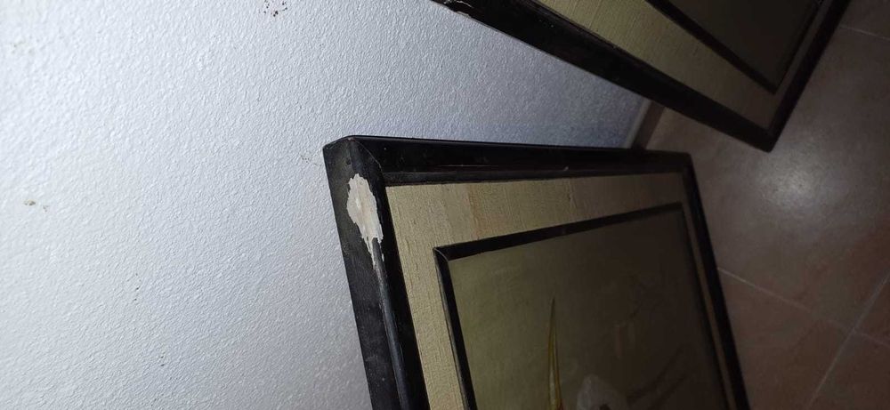 Quadros Aves (Antigos)