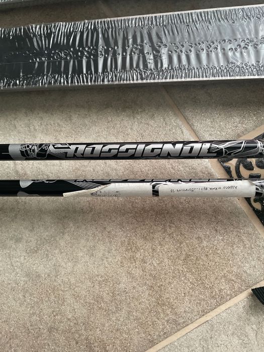 Нові лижі elan formula 110 + палки rossignol 120