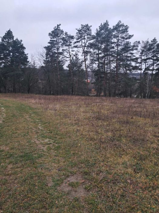 Продам земельну ділянку с/г призначення в Стрижавці 0962