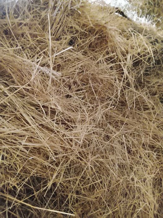 Сіно тюковане в малі тюки