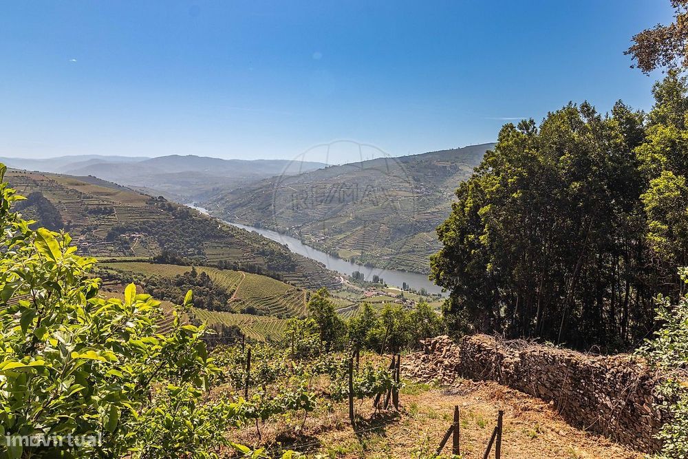 Terreno  para venda