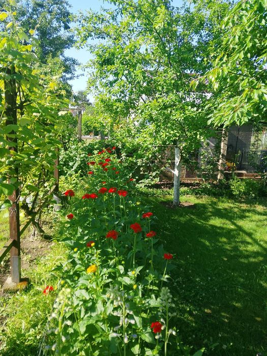 Ogródek działkowy, działka na sprzedaż Kluczbork ul.Norwida