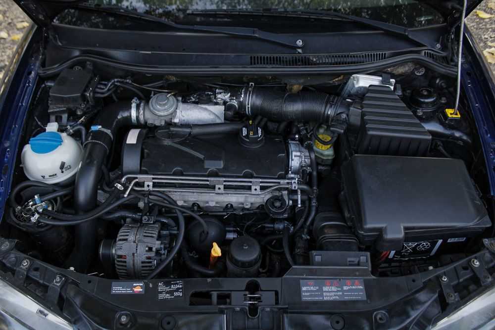 Seat Ibiza 6L PD 3xx