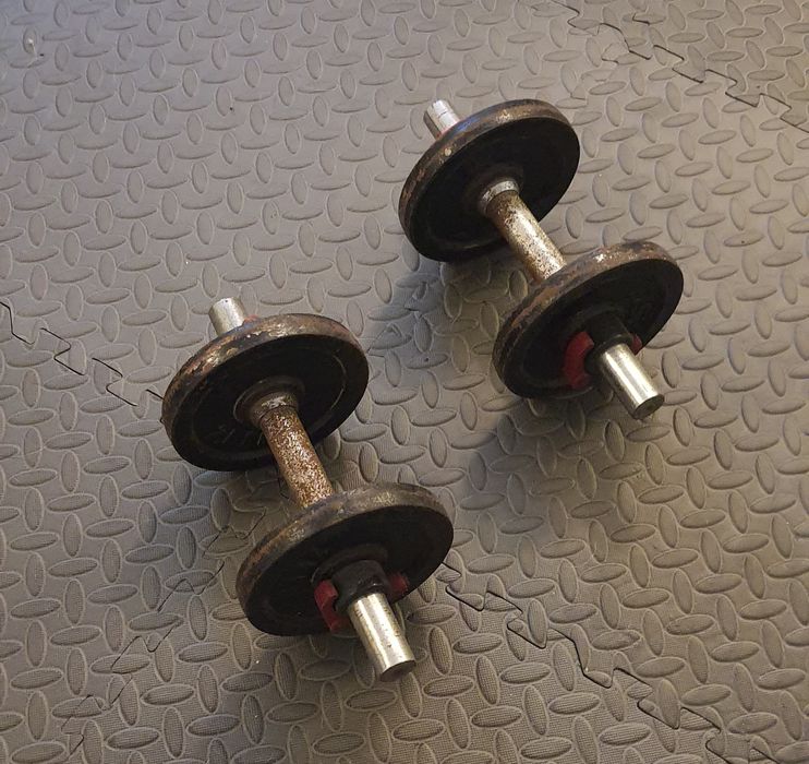 Vendo  halteres 30kg total