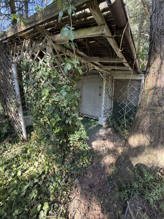 ROD Sahara , 400mk , Witow kolonia