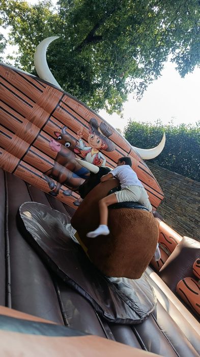 Aluguer Touro Mecânico