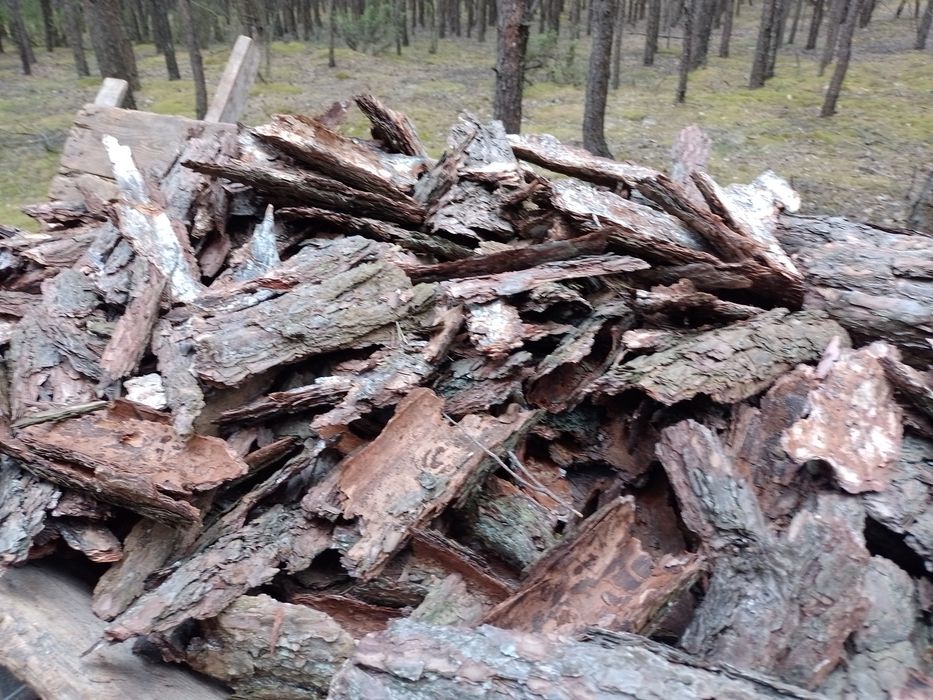 Kora sosnowa workowana Zrębka liściasta workowana