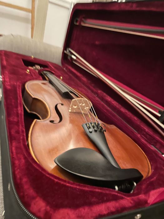 Excelente Viola Moderno 16”