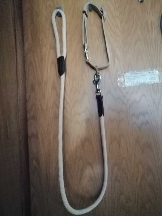 Coleira L e trela Hunter Novas (ver fotos e descrição)