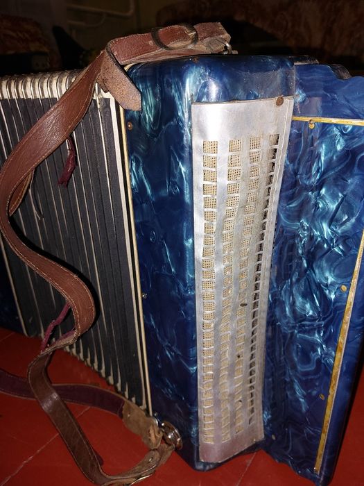 Баян       Полісся