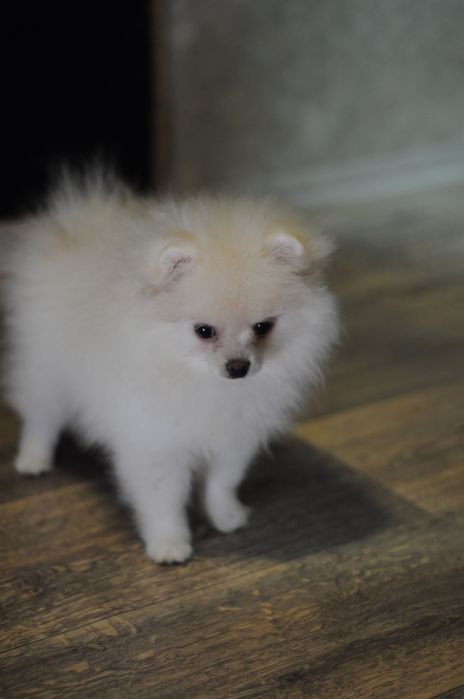 Плюшевая мини девочка