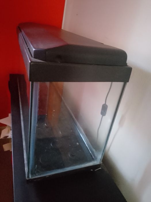 Aquário 100 cm como novo