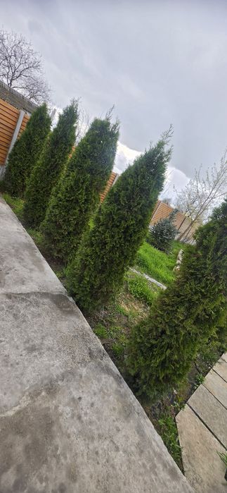 Продам дом  на левом берегу.