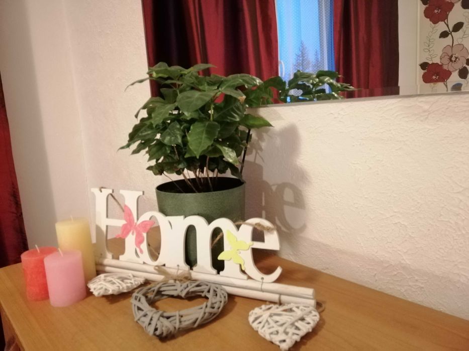 Noclegi Warszawa  Проживание Варшава Хостел