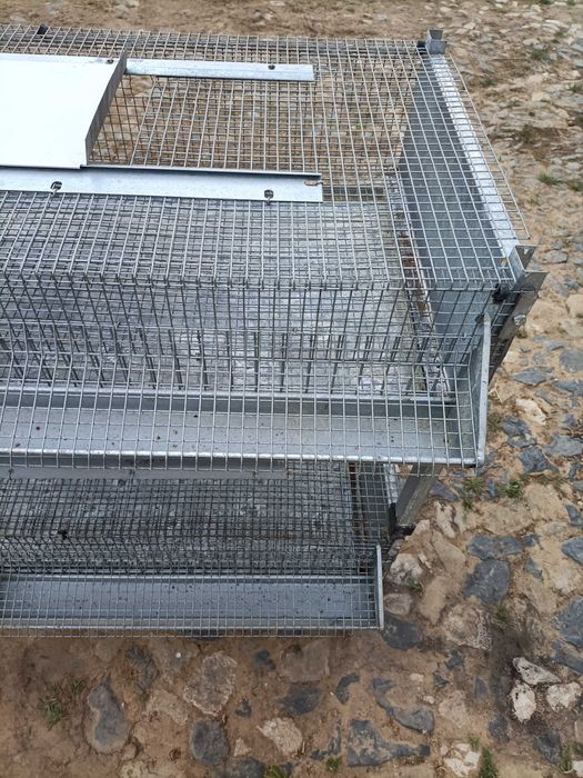 Duas (2) Jaulas de Engorda Codornizes (100x50x20cm)