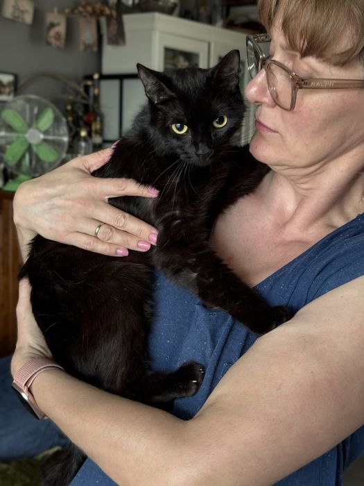 Piekna czarna kotka do adopcji