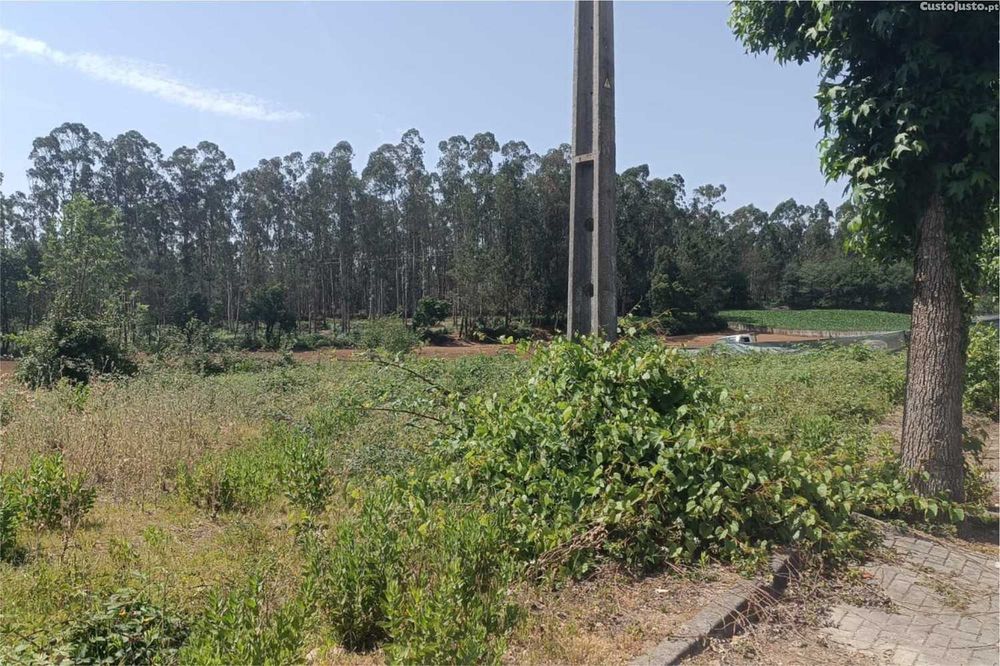 Excelente Terreno Urbano com 489 m2