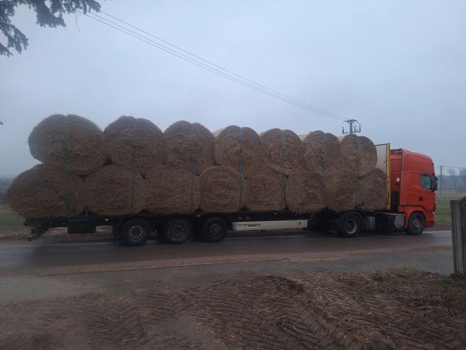 Słoma siano sianokiszonka kukurydza w belach szybka dostawa